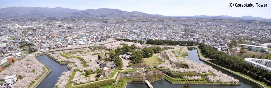 Gonoka Japan