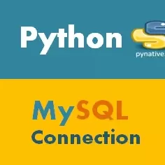 Python MySQL