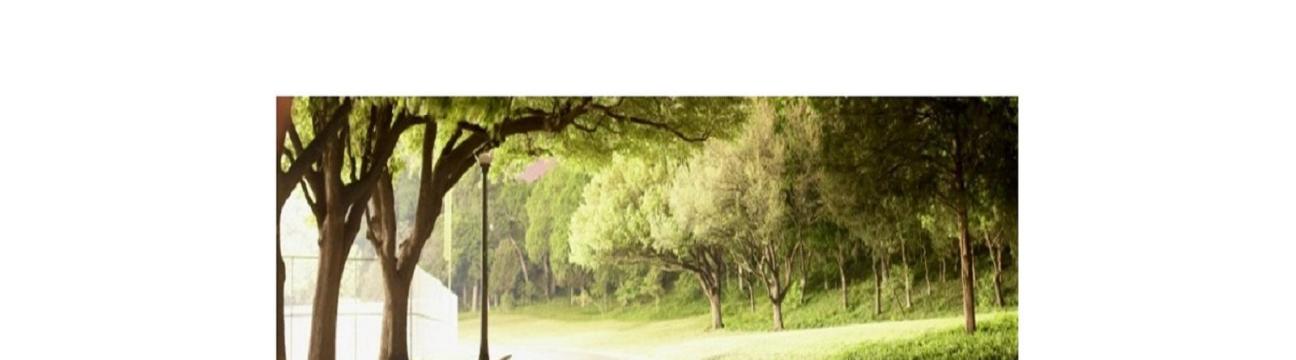 PremierLandscape Management