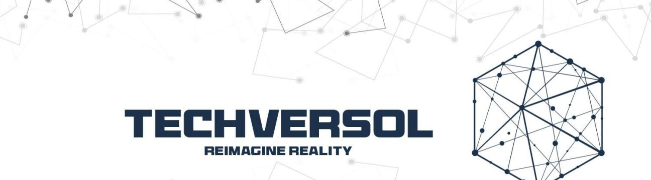 Techversol Inc